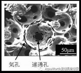 1636344611295510.jpg 5.jpg